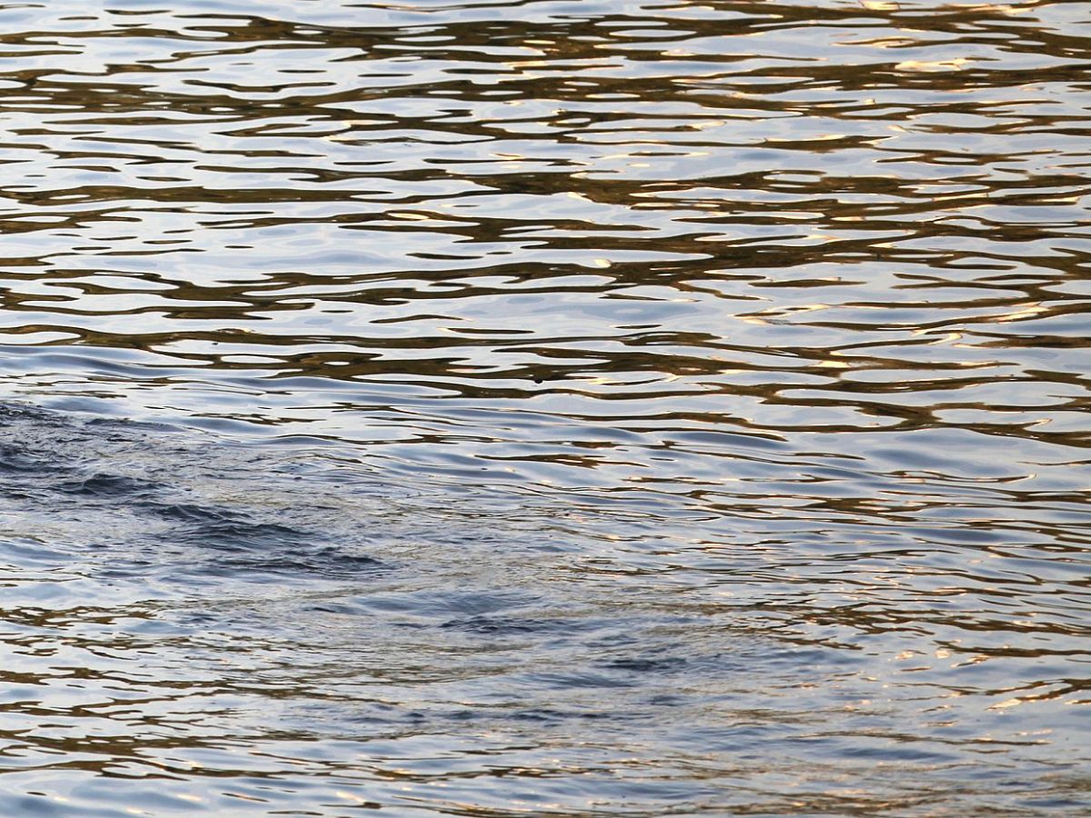 Landesumweltminister: NRW-Wasserversorgung nicht akut gefährdet - bei Kurznachrichten Plus