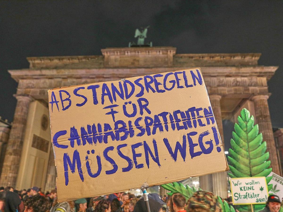 Ermittler warnen vor zunehmender Gewalt wegen Cannabis - bei Kurznachrichten Plus