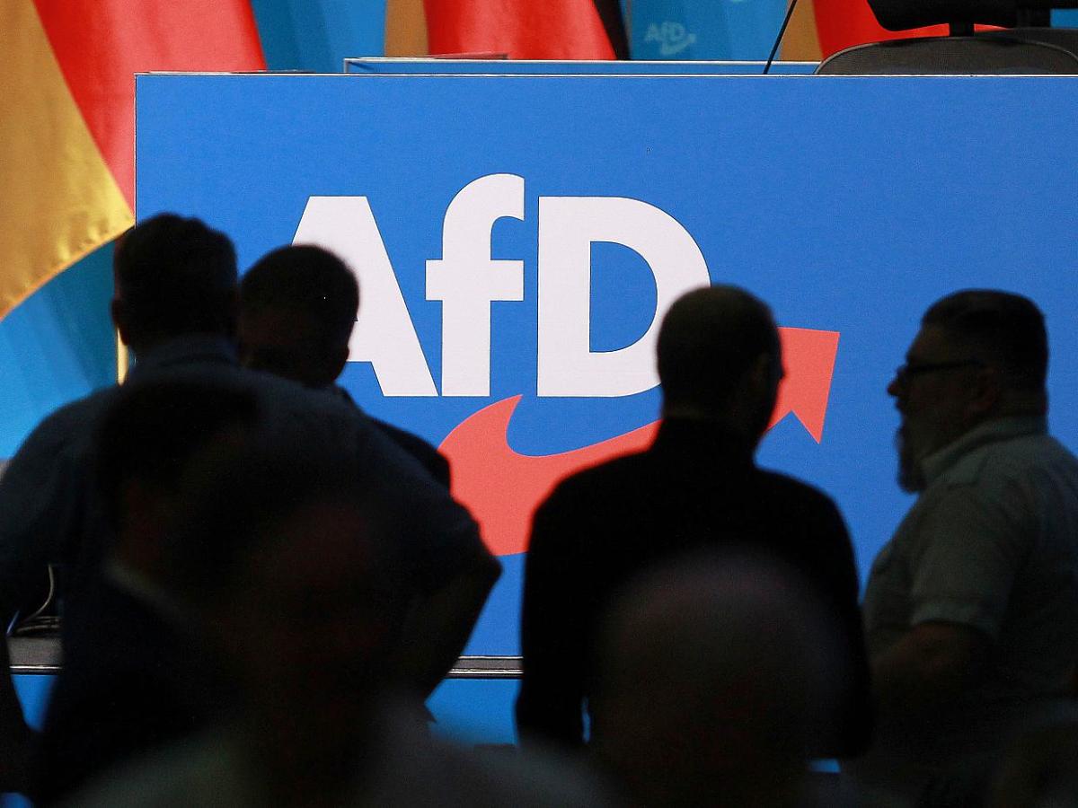 Geheimdienste: Kuhle für Informationsstopp bei AfD-Wahlerfolg - bei Kurznachrichten Plus