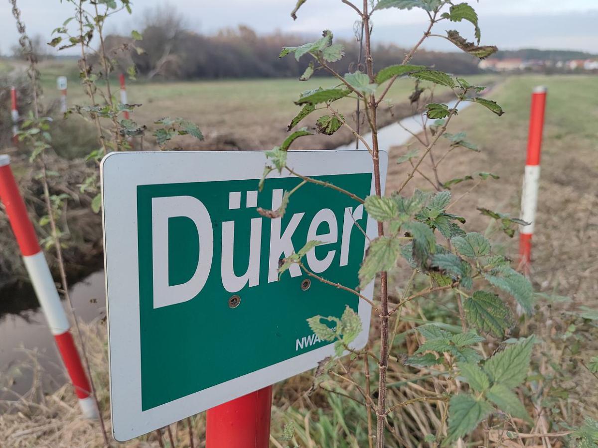 Grüne wollen deutschlandweit einheitliche Wasserentnahmeentgelte - bei Kurznachrichten Plus