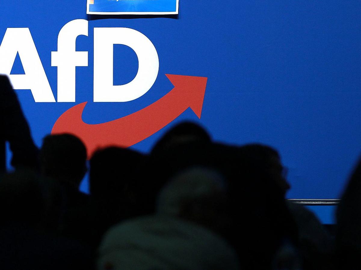 Hajo Funke sieht Initiative für AfD-Verbot aktuell kritisch - bei Kurznachrichten Plus