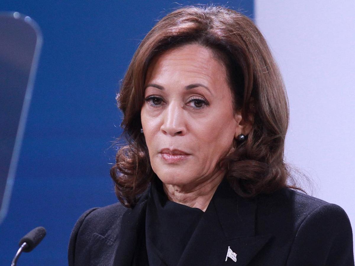 Kamala Harris sichert sich Präsidentschaftskandidatur der Demokraten - bei Kurznachrichten Plus