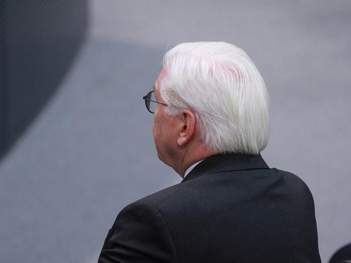 Kritik an Steinmeier-Äußerungen zu Ukraine-Hilfen - bei Kurznachrichten Plus