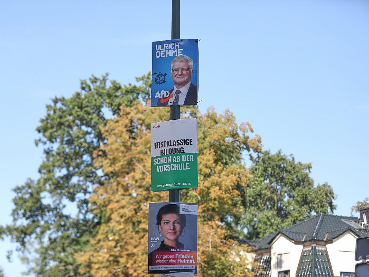 Linke Schwerdtner: BSW, AfD und CDU wollen Menschen „verdummen“ - bei Kurznachrichten Plus