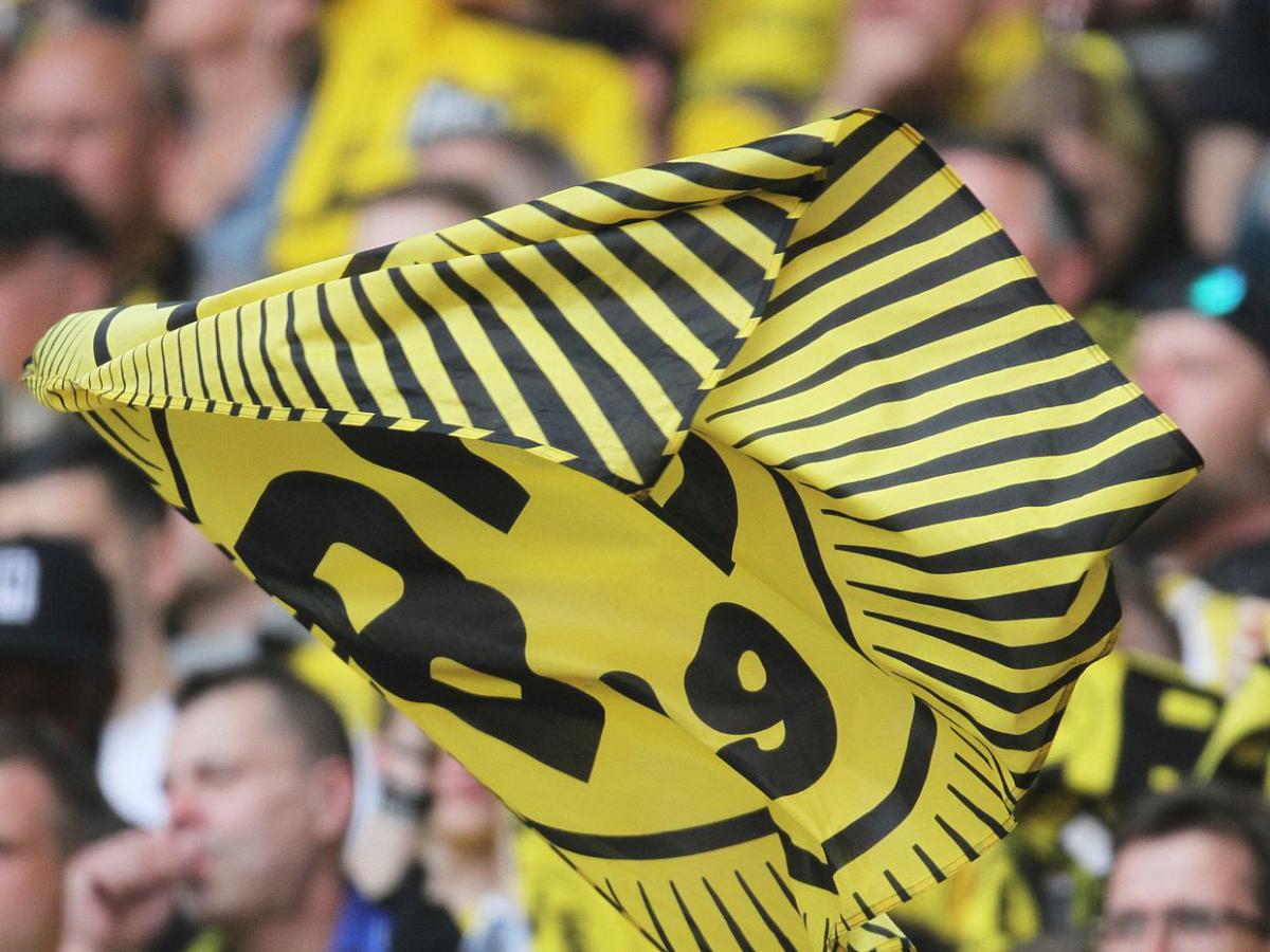 Linke will Aus für Rheinmetall-Sponsoring beim BVB - bei Kurznachrichten Plus