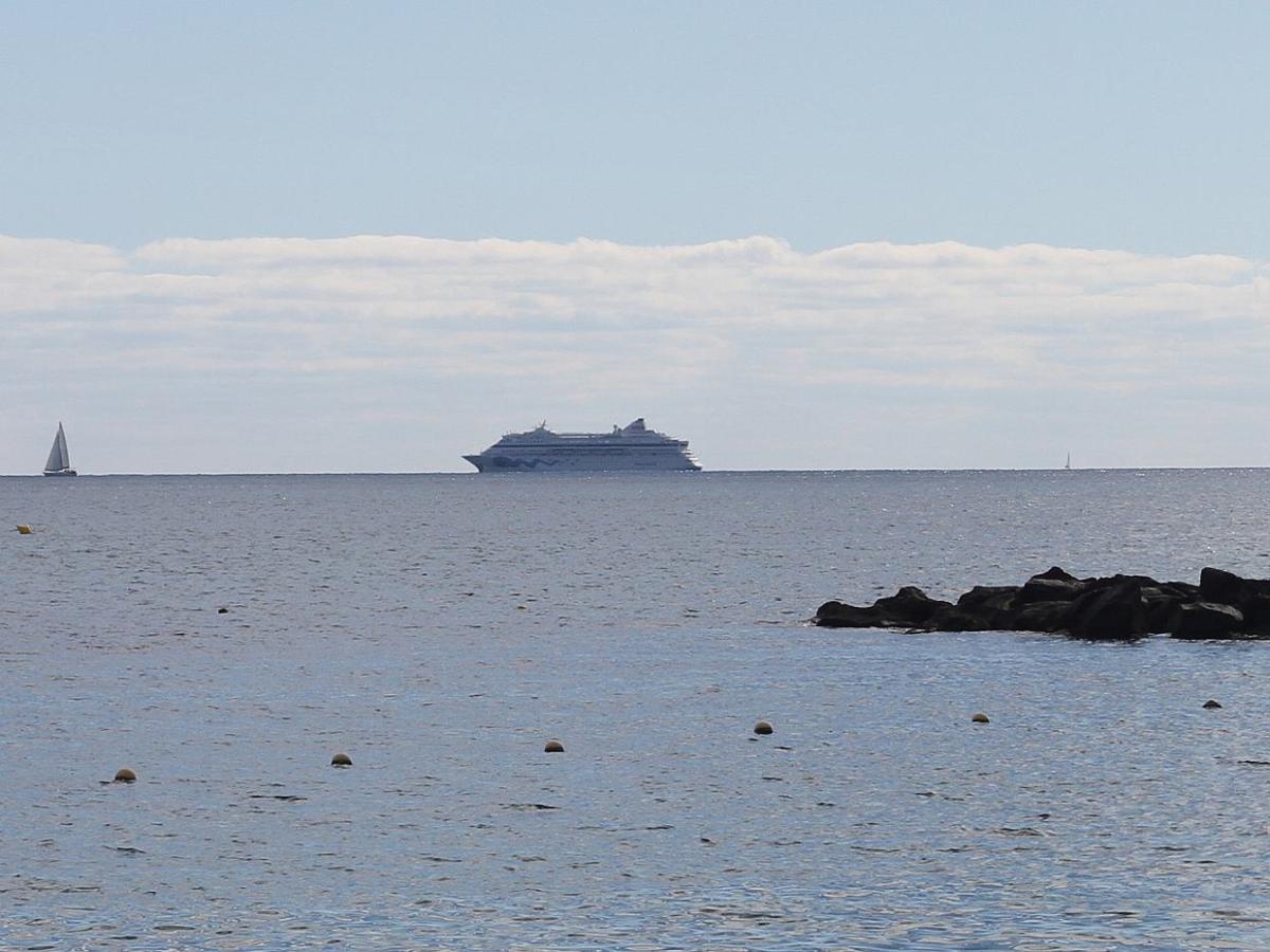 Naturschutzbund Nabu begrüßt staatliche Rettung der Meyer Werft - bei Kurznachrichten Plus