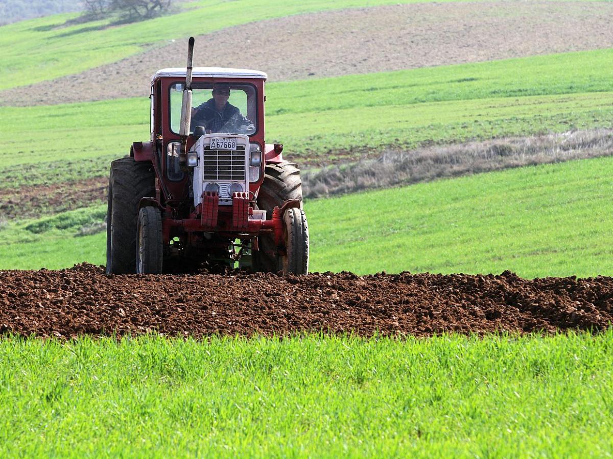 Neuer Konflikt zwischen Bund und Ländern um Glyphosat - bei Kurznachrichten Plus