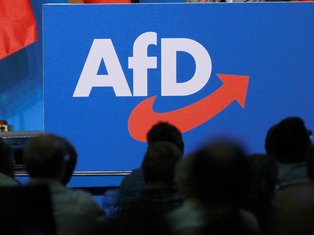 Ökonomen sehen AfD-Wirtschaftspolitik kritisch - bei Kurznachrichten Plus