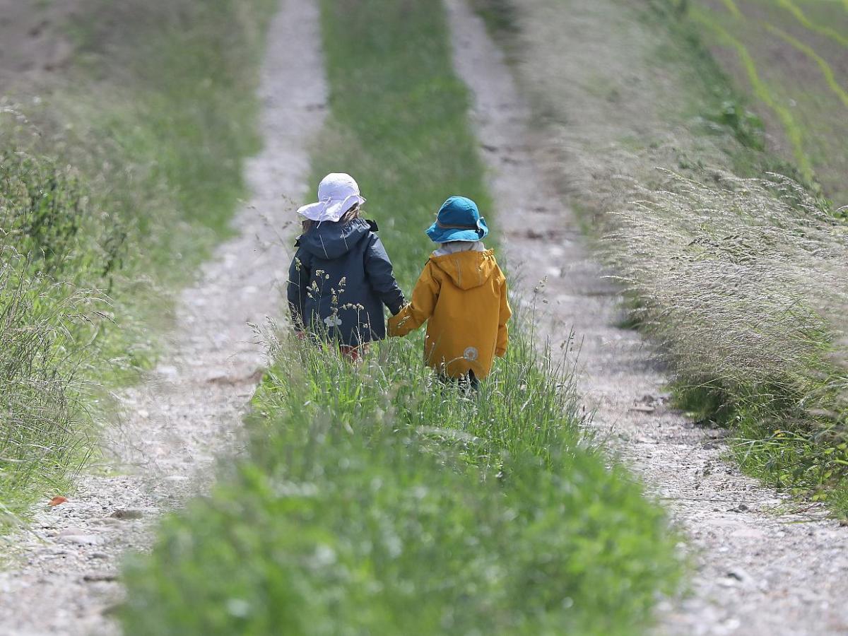 Paus will Grundlage für Kindergrundsicherung in dieser Wahlperiode - bei Kurznachrichten Plus