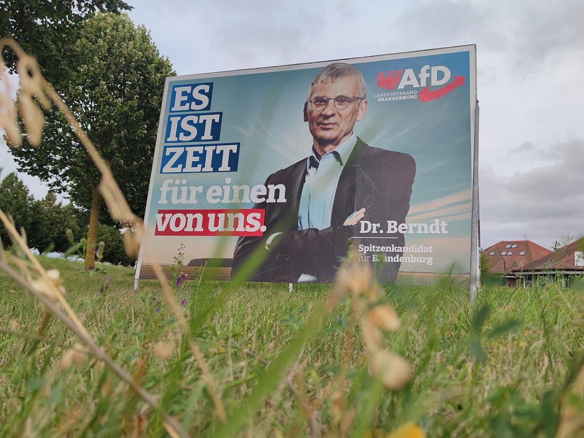 Politbarmeter: AfD in Brandenburg weiter vorn – SPD holt etwas auf - bei Kurznachrichten Plus