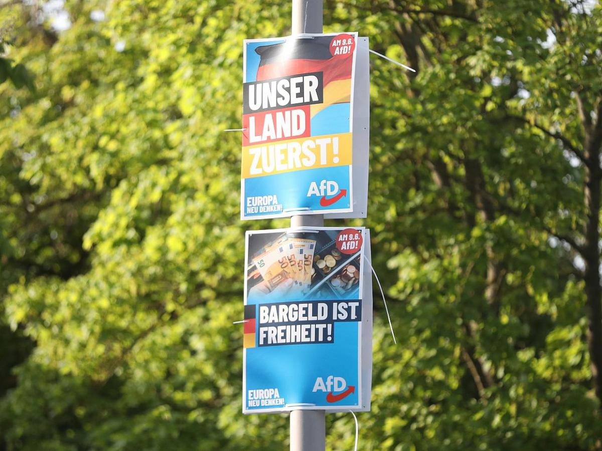 Politologe Funke sieht gefestigte AfD-Strukturen in Thüringen - bei Kurznachrichten Plus