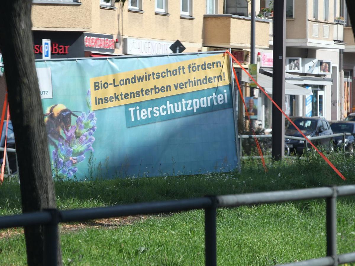 RBB muss Tierschutzpartei bei mehr als 2 Prozent nennen - bei Kurznachrichten Plus