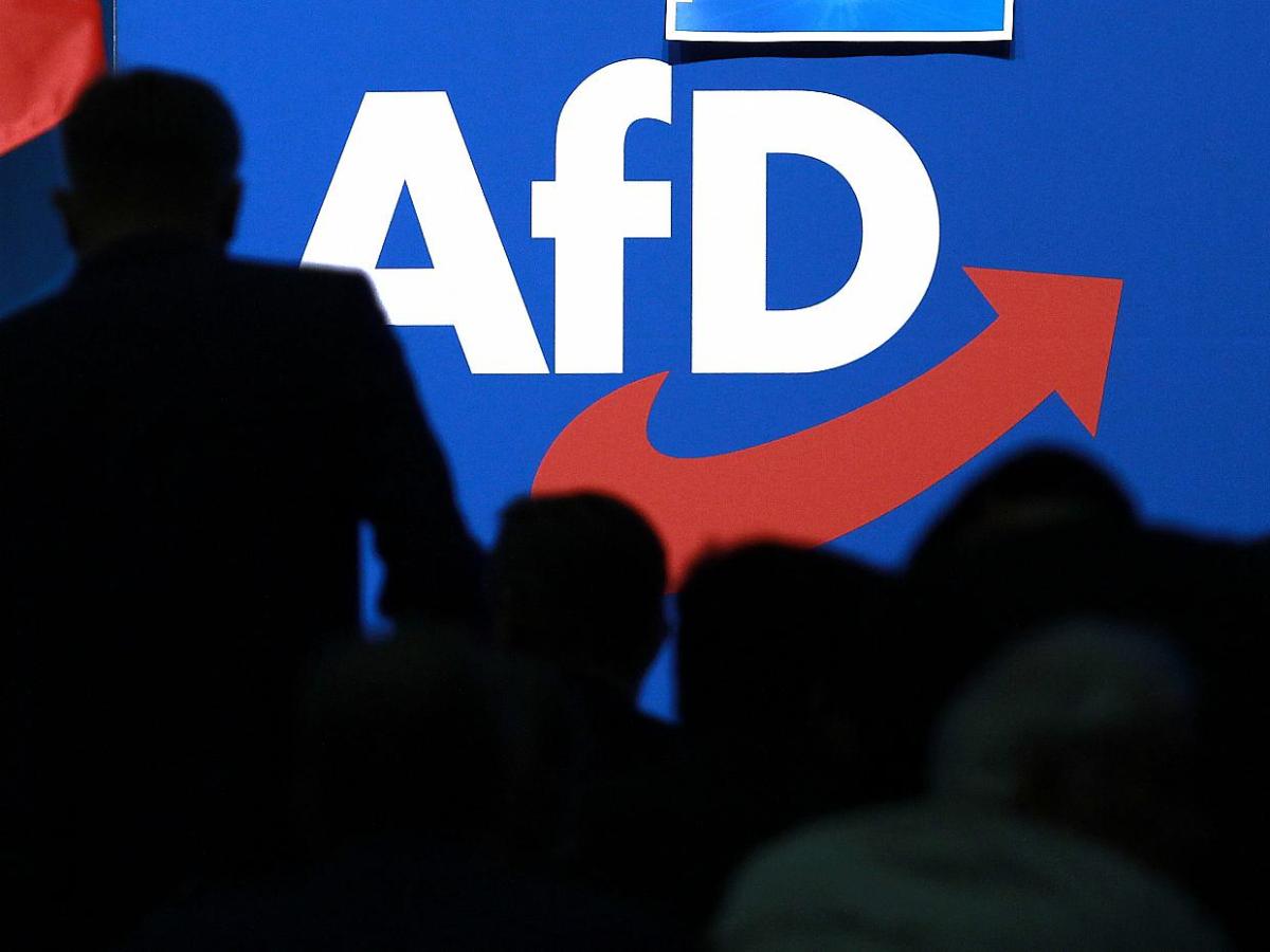 Urteil: Verfassungsschutz darf AfD in Bayern beobachten - bei Kurznachrichten Plus