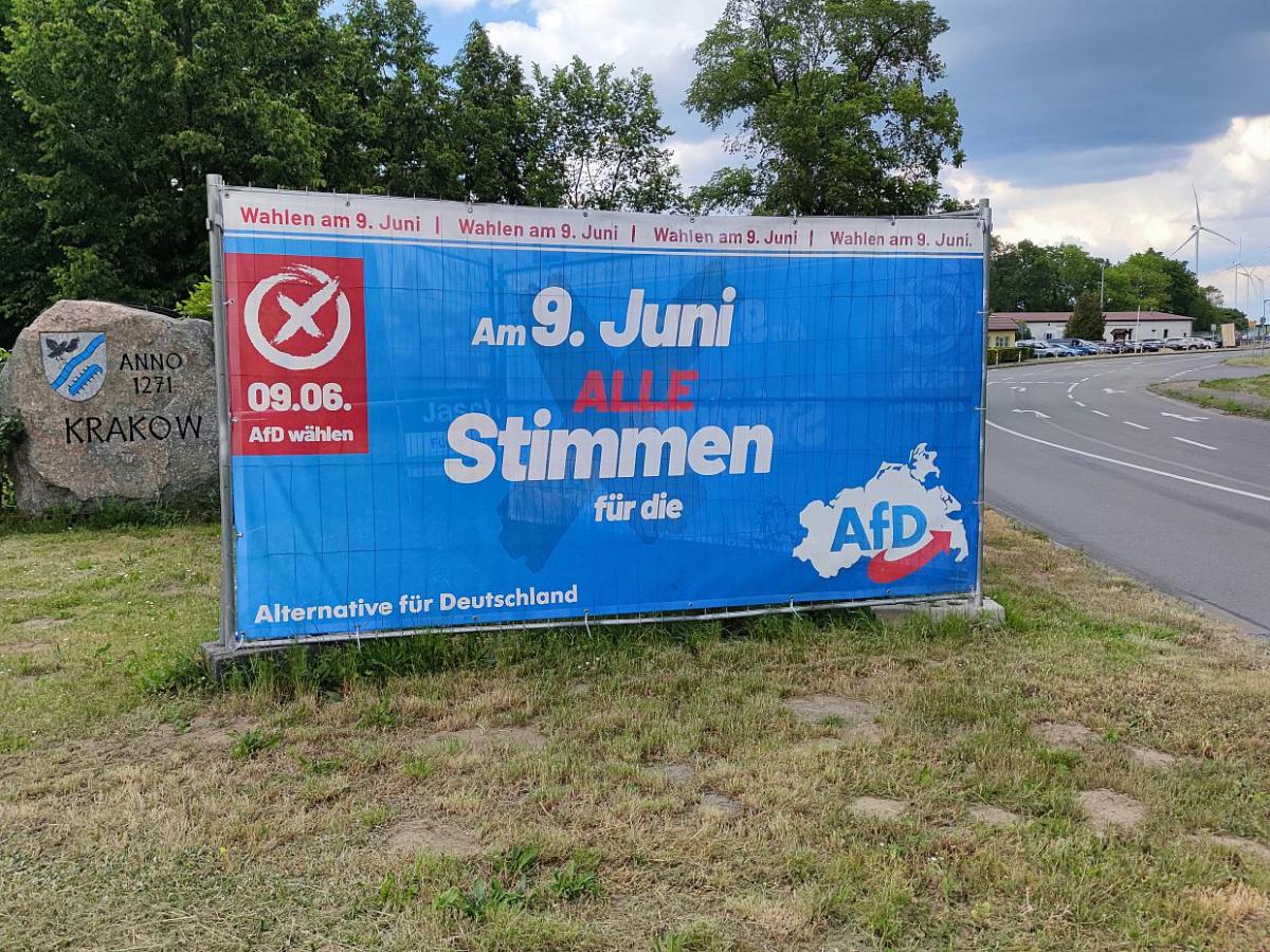 Wahlforscher rechnet mit unvermindertem Zuspruch zur AfD - bei Kurznachrichten Plus