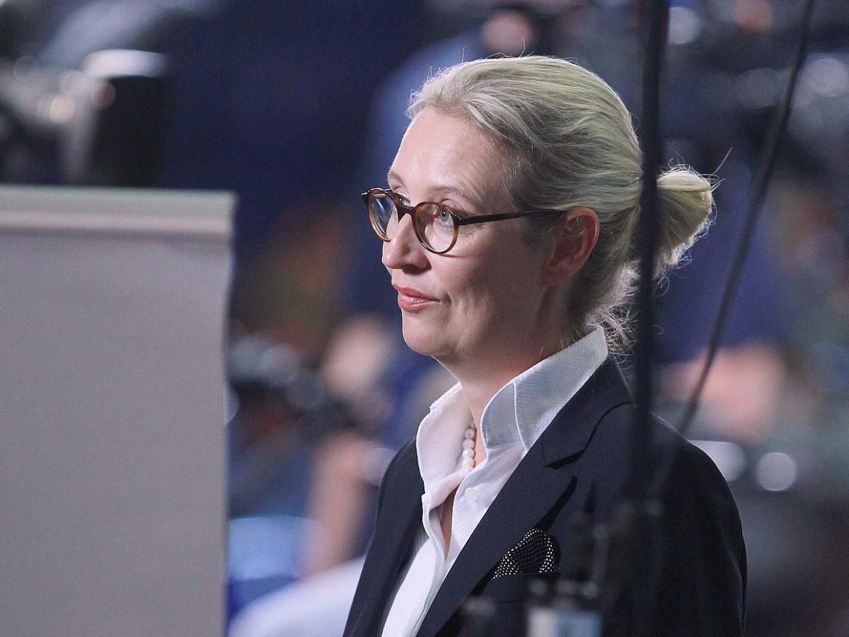 Weidel will Trump als US-Präsident - bei Kurznachrichten Plus