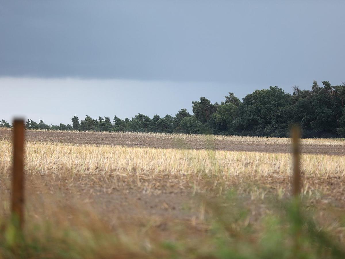 Wetterdienst warnt vor Gewittern mit Starkregen - bei Kurznachrichten Plus